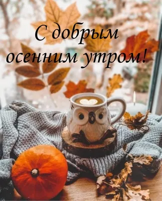 Утро/🍂Осень🍂/Понедельник | Доброе утро, Дневные цитаты, Утренние цитаты