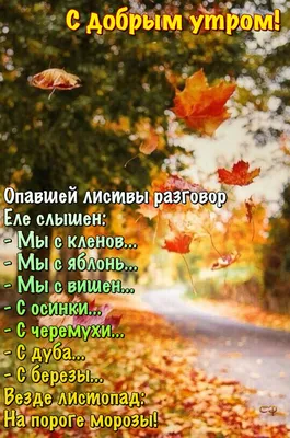 Картинка: Доброе утро! Осень славное добро с собой приносит