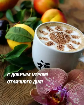 Доброе утро отличного дня картинки