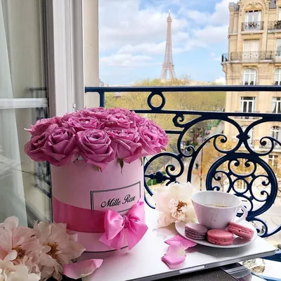 Pin by Лёля Galustyan on Пожелания с добрым утром | Pink roses, Paris theme  party, Pink