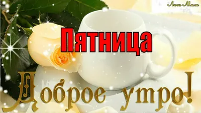 ☕ Доброе Утро Пятница! Красивая Песня Пожелание Доброго Утра Хорошего Дня  Видео открытка С Пятницей - YouTube