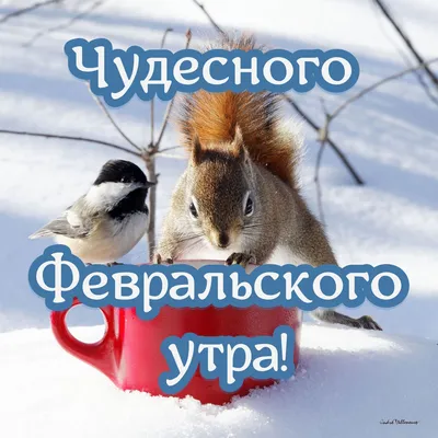 Всем доброго утра и чудесной пятницы!