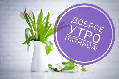 Прикольные открытки с добрым утром пятницы