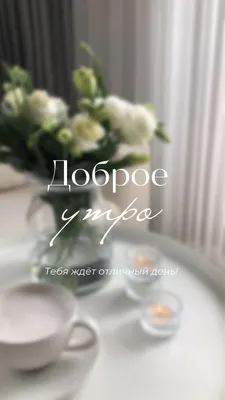 Идеи на тему «Доброе утро» (130) | доброе утро, открытки, утренние цитаты