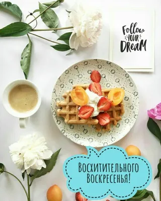 Buongiorno литерность Перевод от итальянского - доброе утро Современная  каллиграфия щетки вектора Иллюстрация чернил Иллюстрация штока -  иллюстрации насчитывающей творческо, приветствие: 136626141