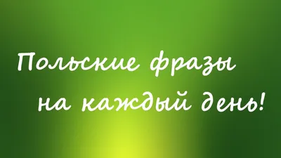 Польские фразы на каждый день! Польские фразы и польское произношение!  Witam Привет Cześć Доброе утро, добрый день. Dzień d… | Польский, Польский  язык, Произношение