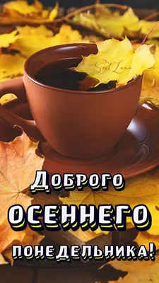 Доброе утро, понедельник ☕ | Доброе утро, Утренние сообщения, Новая неделя