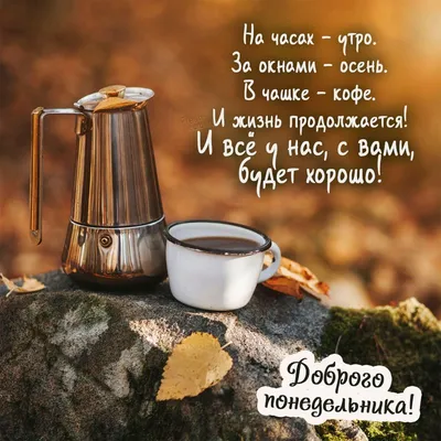 Утро/🍂Осень🍂/Понедельник | Доброе утро, Дневные цитаты, Утренние цитаты