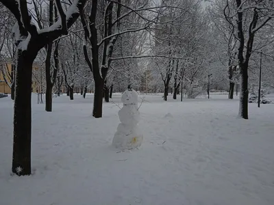 Доброе утро понедельника | Пикабу