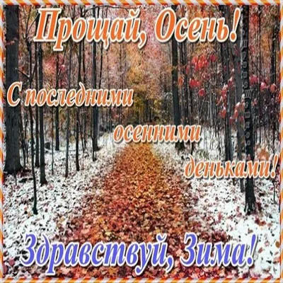 Мудрая бабулечка added a new photo. - Мудрая бабулечка