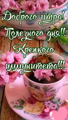 Доброе 🌸🍃🌺🌿🌸 Утро! Пожелания! | Доброе утро, Открытки, Зимние цитаты