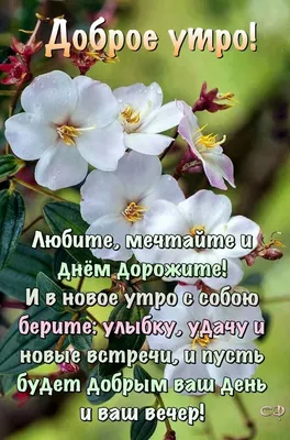 Доброе утро! 💝 | Цитаты про доброе утро, Позитивные цитаты, Доброе утро