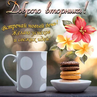 ДОБРОЕ УТРО! 💖🌸🦋💐🌺🌿🦋🌸 ПРЕКРАСНОГО ДНЯ! 💖 | Весна цветение, Доброе  утро, Вдохновляющие цитаты