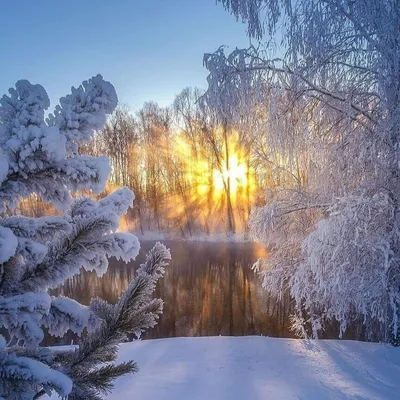 Картинки с добрым утром По временам года🌞 и хорошего дня