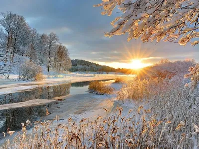 Доброе утро! ❤️Чудо природы - гроздья рябины зимой...❤️Невероятно  красиво!❤️Good morning!❤️ - YouTube