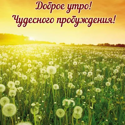 175 картинок с пожеланием Доброго утра и природой