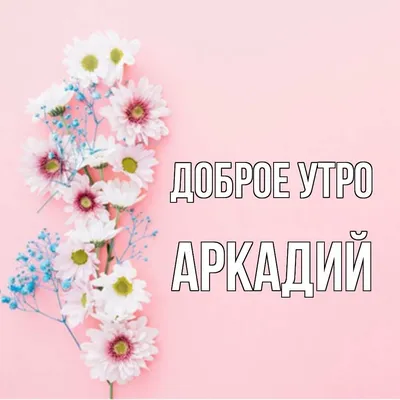 С добрым утром 🌸 в 2023 г | Открытки, Доброе утро, Фотографии животных