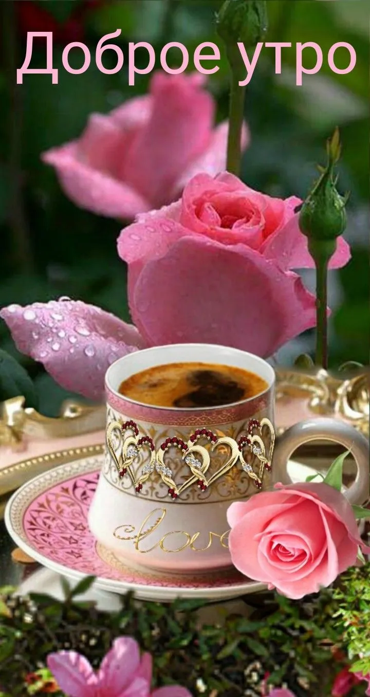 Доброе утро | Доброе утро, Розы, Весенние цветы