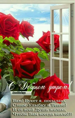 Доброе утро 🌞 субботааа☀️... - Цветы 101 РОЗА Нягань ☏25881 | Facebook