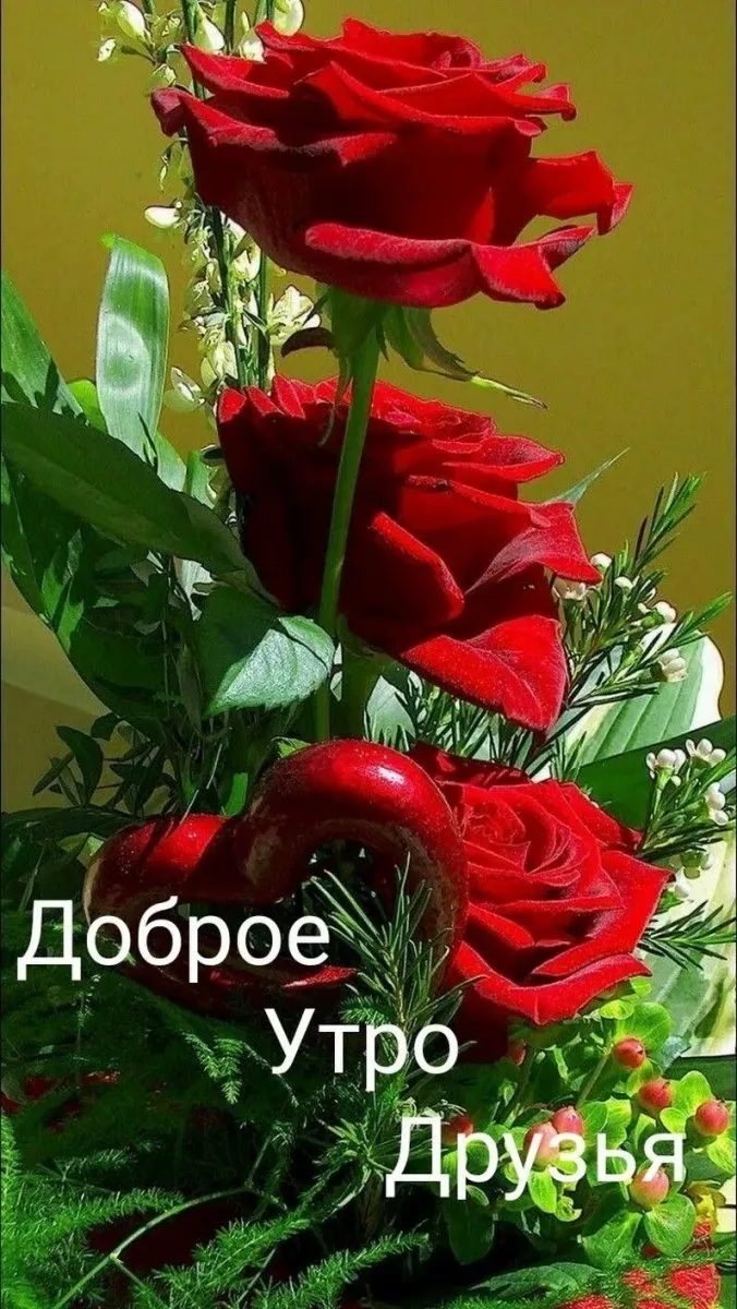 Доброе утро с розами! Красивая музыкальная видио открытка. Красивые  поздравления от души - YouTube