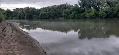 Доброе утро, рыбаки - ЯПлакалъ