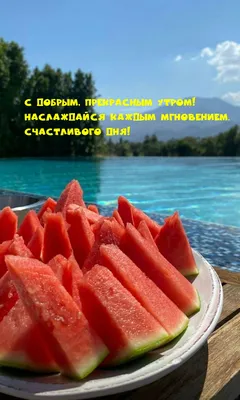 РИЦ Новости Боровского района - Доброе утро!🌞 А вы любите арбузы?🍉 Уже  пробовали их в этом сезоне? Сегодня переменная облачность, местами  кратковременный дождь. Ветер восточный четверти 5-10 м/с. Температура  воздуха днём +16..+21°С. |