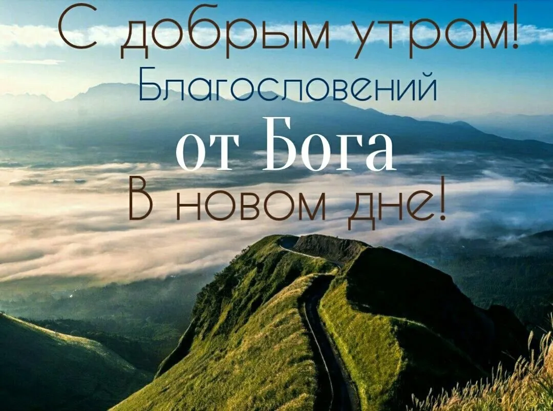 Благословенного богом утра. Доброе утро дог. Доброе утро с Богом. С добрым утром с Богом. Христианские открытки с добрым утром.