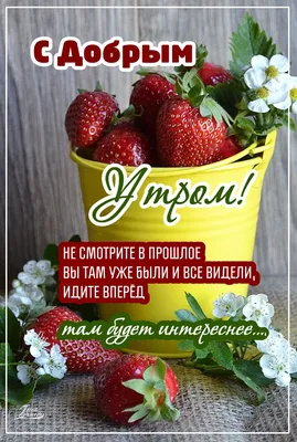 Чай черный ФАБРИКА ЗДОРОВЫХ ПРО Доброе утро бодрящий травы/ягоды/фрукты  лист.к/уп – купить онлайн, каталог товаров с ценами интернет-магазина Лента  | Москва, Санкт-Петербург, Россия