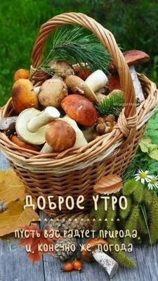 Pin by Ольга on Доброе утро | Birthday greeting message, Instagram posts,  Good morning