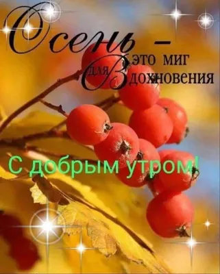 Открытка "Желаю доброго прекрасного зимнего утра", с ягодами рябины • Аудио  от Путина, голосовые, музыкальные