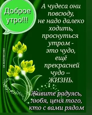 Доброе утро! Хорошего дня! | Доброе утро, Утренние сообщения,  Благодарственные открытки