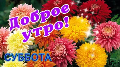 🎀ОлУ. Доброе утро! Запах хризантем…» — создано в Шедевруме