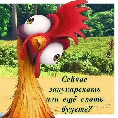 Утро☀️/Петушок🐓 | Осенние картинки, Доброе утро, Картинки