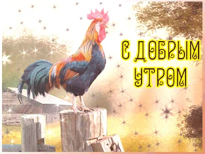 Самого Доброго Утречка !💖🍀 С Добрым Утром Вторника !🍀Красивое пожелание доброго  Утра!🍀💖 - YouTube