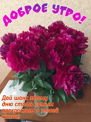 Pin by Olga Frunze on доброе утро | Flower arrangements, Beautiful flower  arrangements, Pink flowers