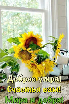 Доброе утро понедельника! | Доброе утро, Подсолнухи, Открытки