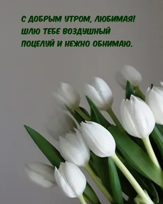 Пожелания хорошего дня в картинках, своими словами, в стихах, в смс и  христианские пожелания доброго дня — Украина