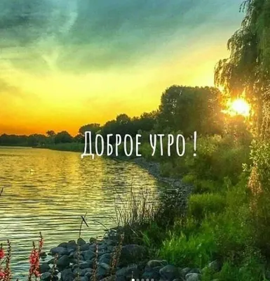 Доброе утро природа: хорошего дня, рассвет, дождь