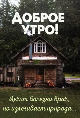 Картинки с красивой природой и пожеланием Доброго утра. | Доброе утро,  Картинки, Милые открытки