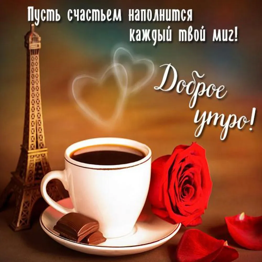 доброеутро#цветы#сердечки#кофе#попугай#открытка#пожелание | TikTok