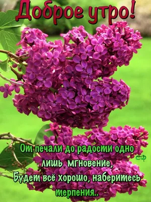 Доброе утро красивые открытки картинки утренние сообщения цитаты инстаграм  сторис | Открытки, Утренние сообщения, Цитаты