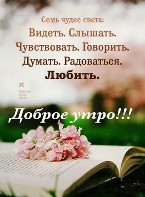 Доброе утро цитаты приветствию вдохновляющее утром. Не забудь улыбаться.  Приветствие карты утра с цветами Cockscomb весны. Стоковое Изображение -  изображение насчитывающей начала, цветки: 182773761