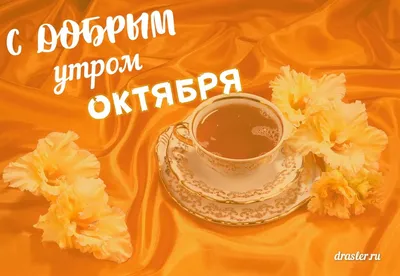 СРЕДА! 🌞 ДОБРОГО УТРА / ДОБРОЕ УТРО / С ДОБРЫМ УТРОМ / ДОБРОГО УТРА  ЛЮБИМОЙ / СНОВА ОСЕНЬ / ОСЕНЬ - YouTube