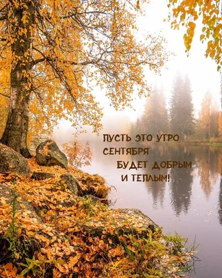 💐Olga brosh🌺💥 Twitter वर: "Лучики мои, доброе утро🌞🌹! Просыпаетесь,💫  солнышко уже зовёт нас в воскресный день,🍁 за новыми впечатлениями и  прекрасными эмоциями! 🖐️💐💖 /ZVpIIL7BDM" / Twitter