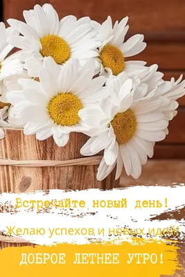 🌹С Добрым Утром!🌹Желаю Счастья! Нежное Пожелание Доброго Утра! Сергей  Чекалин! Музыкальная Открытка! - YouTube