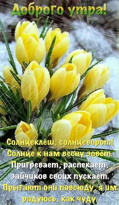 Pin by Светлана on Скоро Весна... | Inspirational quotes motivation,  Inspirational quotes, Good morning