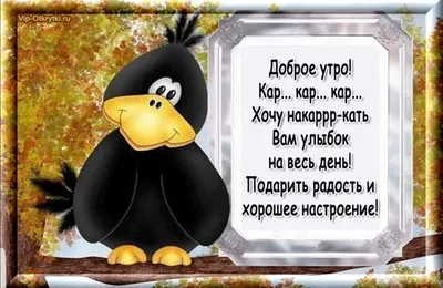 доброе утро / смешные картинки и другие приколы: комиксы, гиф анимация,  видео, лучший интеллектуальный юмор.