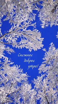 Идеи на тему «Доброе зимнее утро» (190) | открытки, доброе утро, зимние  картинки