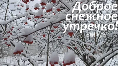 Доброе утро! Пусть пушистый снежок наметёт Вам счастья! Чудесной зимы! -  YouTube