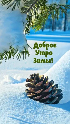 Зимнее 💗☃️💗 Утро доброе! Февраль! | Фотография юмор, Доброе утро, Зимние  цитаты